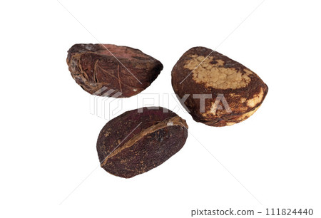 kola nuts in studio 111824440