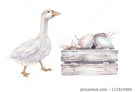 Cute watercolor illustration wooden box made of white gray with chicken and quail eggs and willow branches and white goose. wooden boards. Hand drawn easter illustration isolated on background. Cute watercolor illustration wooden box made of white gray with chicken and quail eggs and willow branches and white goose. wooden boards. Hand drawn easter illustration isolated on background. 111824860