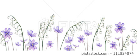 Border watercolor spring flowers. Coppice, hepatica - first spring flowers. Spring lily of the valley Illustration of delicate lilac flowers. Hand drawn texture with white and violet flowers. Isolated Border watercolor spring flowers. Coppice, hepatica - first spring flowers. Spring lily of the valley Illustration of delicate lilac flowers. Hand drawn texture with white and violet flowers. Isolated 111824874