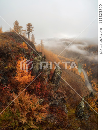Diagonal stony steep slope and forest in dense fog. 111825890