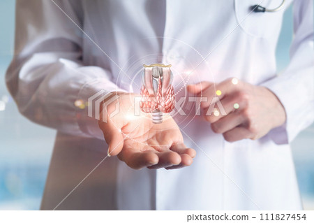 Doctor shows the anatomy of the thyroid gland in his hand. Doctor shows the anatomy of the thyroid gland in his hand. 111827454