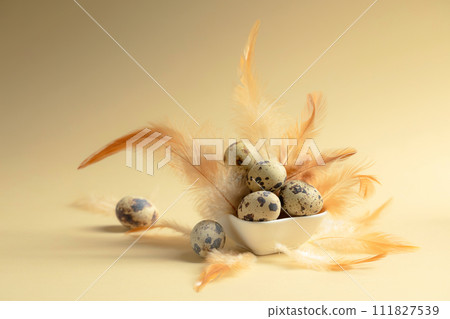 Quail eggs and feathers on a beige background. Quail eggs and feathers on a beige background. 111827539