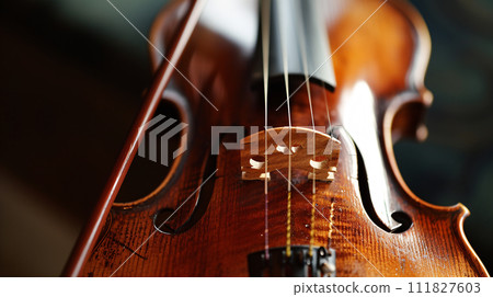 harmony of musical instruments, focusing on the elegant curves of a violin  111827603