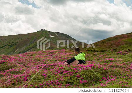 A man sits between bushes of blooming rhododendrons against the background of the mountain Pip Ivan Chornohirskyi. A man sits between bushes of blooming rhododendrons against the background of the mountain Pip Ivan Chornohirskyi. 111827634