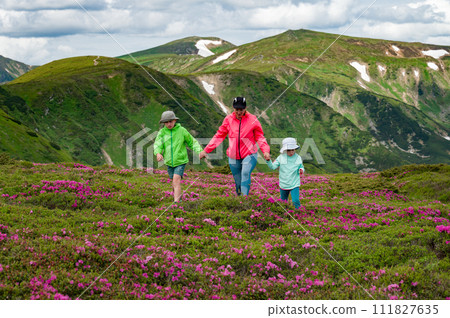 A mother with her son and daughter are walking among rhododendron bushes against the backdrop of the majesty of the Carpathian Mountains. A mother with her son and daughter are walking among rhododendron bushes against the backdrop of the majesty of the Carpathian Mountains. 111827635