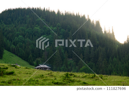 One holiday house in the Carpathian mountains. The tops of pine and spruce in the highlands on the background of the sky. 111827696