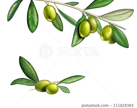Olives 111828365