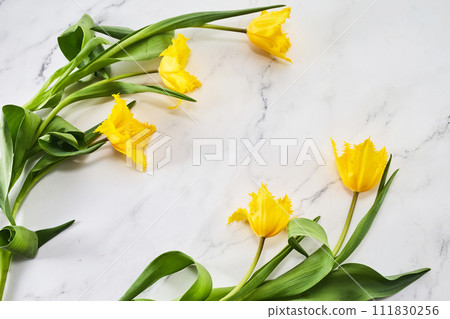 Frame wreath made of yellow tulip flowers on marble background. Flat lay Frame wreath made of yellow tulip flowers on marble background. Flat lay 111830256