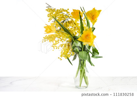 Mimosa flowers isolated on white backgrounds. 111830258