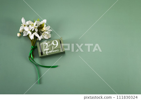 Happy Leap Day on 29 February Happy Leap Day on 29 February 111830324