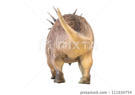 Styracosaurus dinosaur on isolated background Styracosaurus dinosaur on isolated background 111830754
