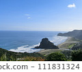 Piha Beach and Lion Rock in Auckland, New Zealand 111831324