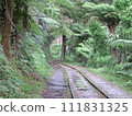 Railway tracks running through the green forests of Karangahake Valley, New Zealand 111831325