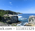 New Zealand Muriwai, gannet on white cliff with blue sky and blue sea 111831329