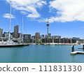 The sky tower and yacht harbor are symbols of New Zealand's largest city, Auckland. 111831330