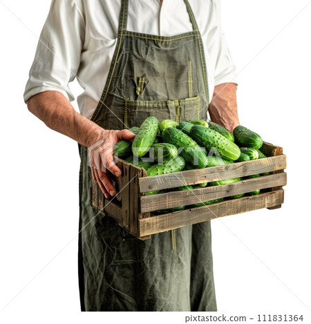 AI-generated content. A farmer in an apron holds box with fresh cucumbers on a white or transparent background. Side view. Trading cucumbers at the market. 111831364