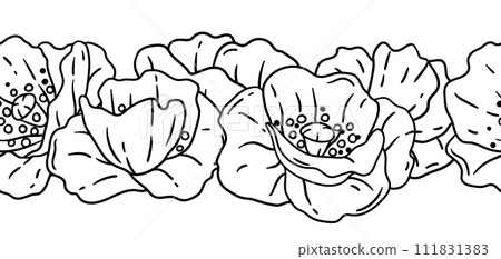 Pattern with poppies flowers. Beautiful decorative plants. 111831383