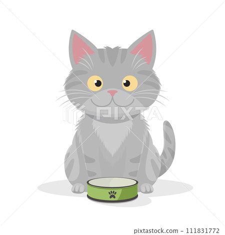 Vector Flat Gray Tabby Cat with Green Pets Bowl. Cartoon Cat Icon Isolated. Black Cute and Funny Cat in Front View 111831772