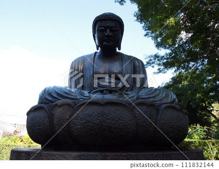 Seated Buddha Statue in Foster Botanical Garden 111832144