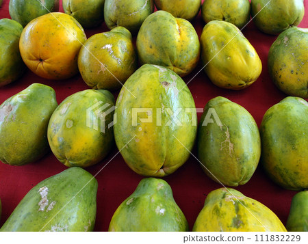 Rows of Hawaiian papayas on red cloth 111832229