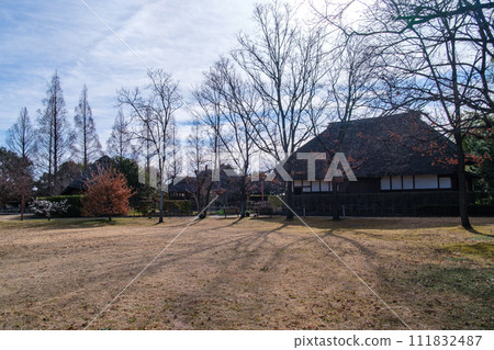 Thatched roof and mansion forest Thatched roof and mansion forest 111832487