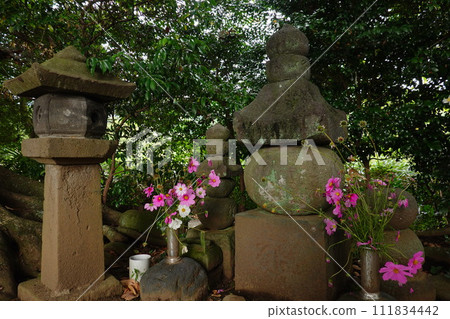 源實友禦塚 111834442