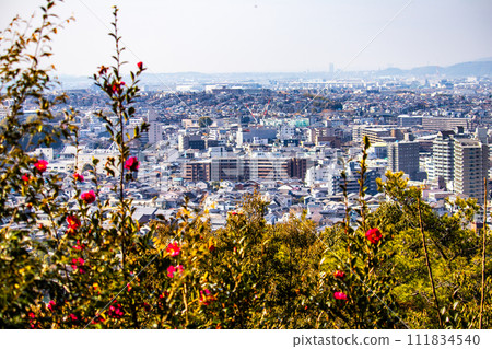 [Uji Scenery] View of Uji City from Daikichiyama Observation Deck 111834540