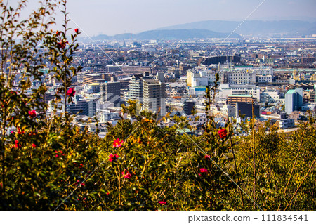 [Uji Scenery] View of Uji City from Daikichiyama Observation Deck 111834541