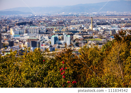 【宇治風景】從大吉山展望台眺望宇治市 【宇治風景】從大吉山展望台眺望宇治市 111834542