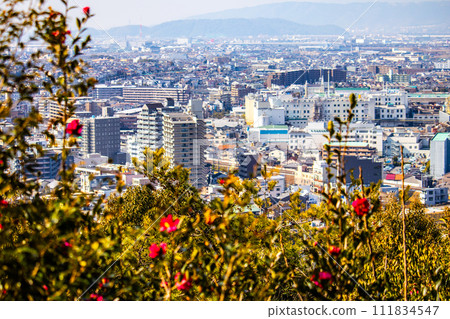[Uji Scenery] View of Uji City from Daikichiyama Observation Deck 111834547
