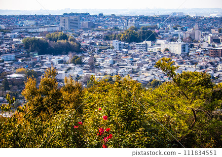 [Uji Scenery] View of Uji City from Daikichiyama Observation Deck 111834551