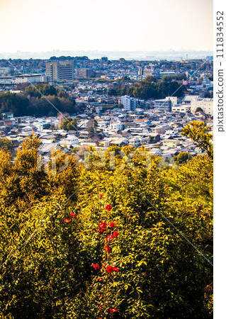 [Uji Scenery] View of Uji City from Daikichiyama Observation Deck 111834552