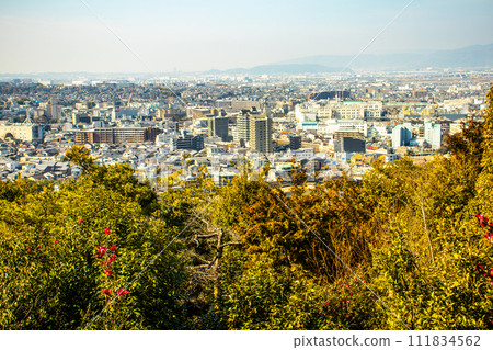[Uji Scenery] View of Uji City from Daikichiyama Observation Deck 111834562
