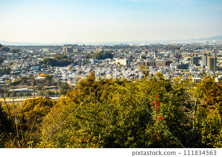 [Uji Scenery] View of Uji City from Daikichiyama Observation Deck 111834563