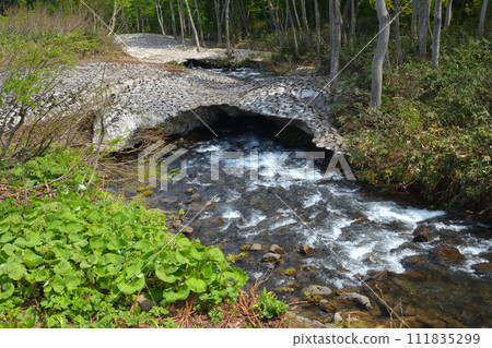 River of melting snow flowing under the remaining snow River of melting snow flowing under the remaining snow 111835299
