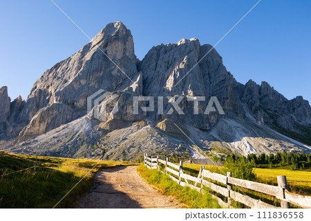 Alpine meadow with wooden-railed trail leading to Munt de Fornella in Dolomites 111836558