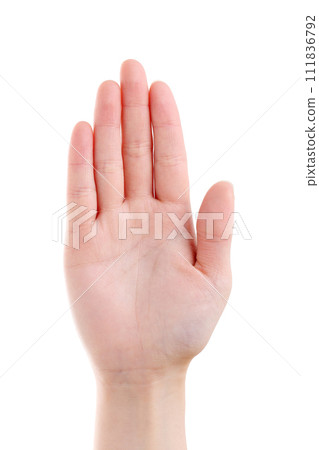 Young lady's hand Young lady's hand 111836792