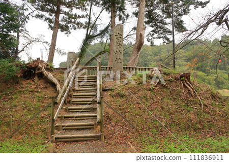 大辻滝公園風景 111836911