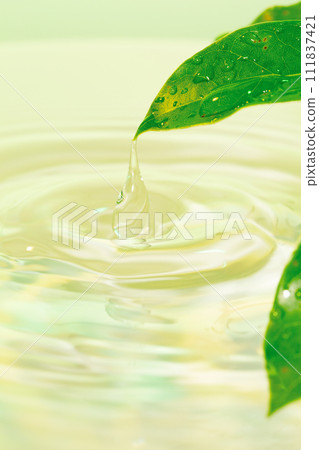 水滴從葉子上落下。 111837421