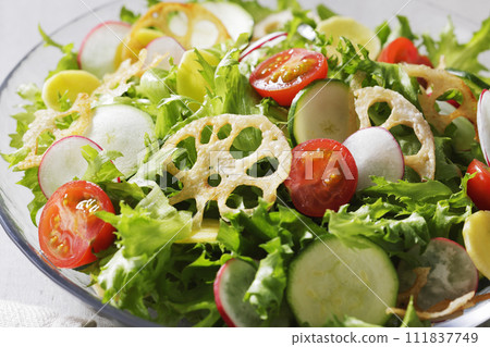 Salad with lotus root, tomato, and lettuce Salad with lotus root, tomato, and lettuce 111837749