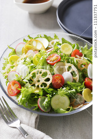蓮藕番茄生菜沙拉 111837751