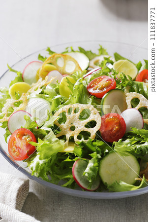 色彩繽紛的蔬菜沙拉 111837771