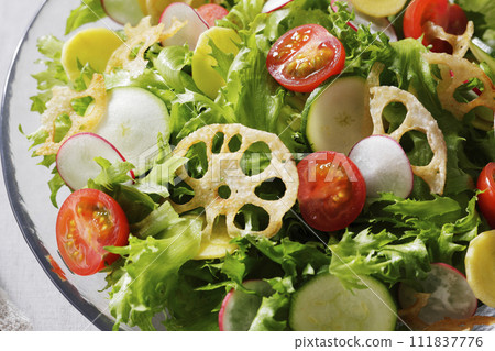 色彩繽紛的蔬菜沙拉 111837776