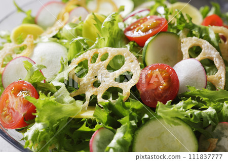 色彩繽紛的蔬菜沙拉 色彩繽紛的蔬菜沙拉 111837777