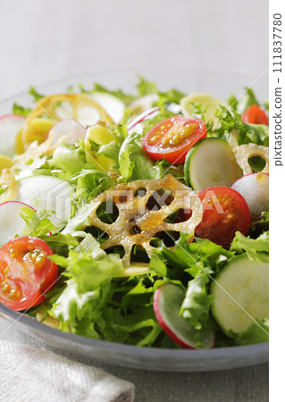 色彩繽紛的蔬菜沙拉 色彩繽紛的蔬菜沙拉 111837780
