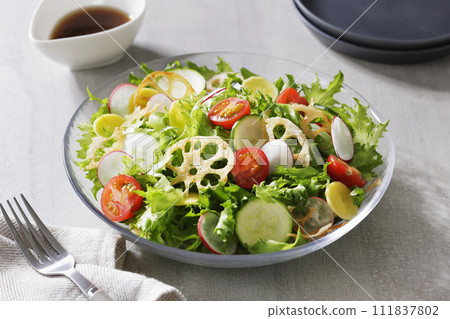 蔬菜沙拉 蔬菜沙拉 111837802