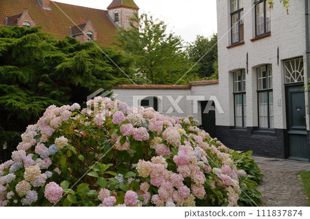 西歐比利時布魯日世界文化遺產「弗拉芒貝居安女修道院」風光 111837874
