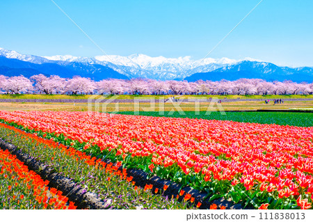 船川旭(春季) 船川旭(春季) 111838013