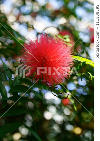 6400 奧韋尼古坎 6400 奧韋尼古坎 111838595