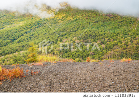 View of the foot of Mt. Asama from the summit of Mt. Koasama [Karuizawa Town, Kitasaku District] 111838912